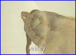 JAPANESE PAINTING TURTLE Hanging Scroll Japan Asian AGED ANTIQUE Picture c736