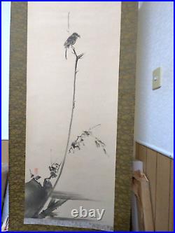 Japanese Hanging Scroll Bull-headed Shrike Bird Painting withBox Asian Antique A03