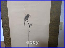 Japanese Hanging Scroll Bull-headed Shrike Bird Painting withBox Asian Antique A03