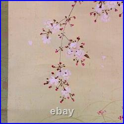 Japanese Hanging Scroll Cherry Blossom Birds Painting withBox Asian Antique k7V