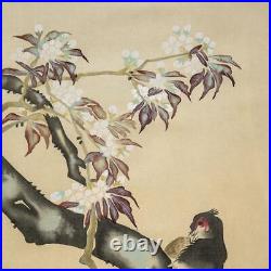 Japanese Hanging Scroll Cherry Blossom Pheasant Painting withBox Asian Antique 2vQ
