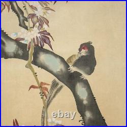 Japanese Hanging Scroll Cherry Blossom Pheasant Painting withBox Asian Antique 2vQ