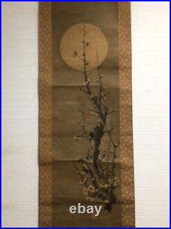 Japanese Hanging Scroll Moon Plum Blossom Painting Asian Antique emA