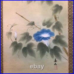 Japanese Hanging Scroll Morning Glory Flower Painting Asian Antique jq8