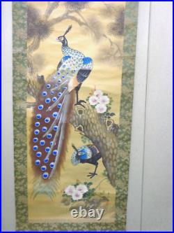 Japanese Hanging Scroll Peafowls and Flower withBox Asian Antique Painting mOT