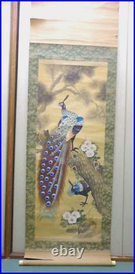 Japanese Hanging Scroll Peafowls and Flower withBox Asian Antique Painting mOT