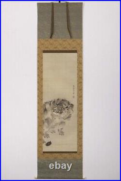 Japanese Hanging Scroll Tiger Animal Late Edo Period Painting withBox From Japan