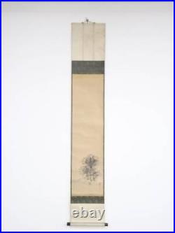 Japanese Kakejiku Calligraphy And Painting Matsumura Keibun Rising Sun Pine Fi