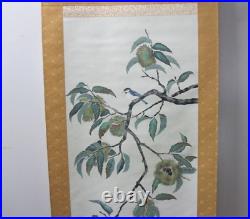 Japanese Kakejiku Chestnut Tree Small Bird Hanging Scroll Art painting Picture