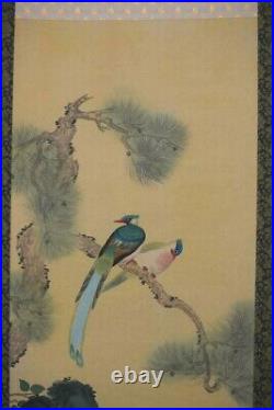 Japanese Painting Hanging Scroll Bird-and-Flower, Pine, Rose Asian Antique SD