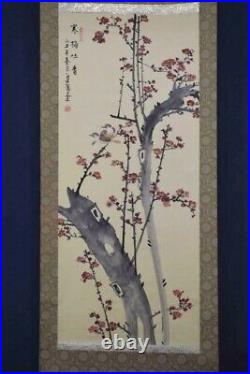 Japanese Painting Hanging Scroll Bird and Red Plum Flower Asian Antique a5r