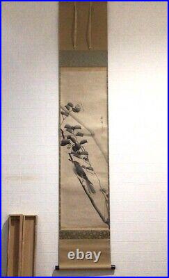 Japanese Painting Hanging Scroll Bird on Foliage withBox Asian Antique kbz