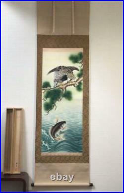 Japanese Painting Hanging Scroll Carp and Hawk on Pine withBox Asian Antique 8fu