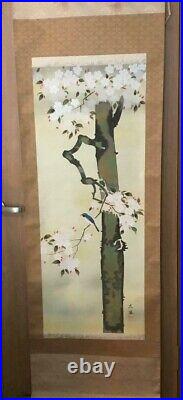 Japanese Painting Hanging Scroll Cherry Blossom and Bird Asian Antique 4j