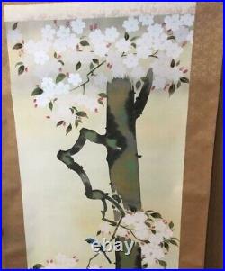 Japanese Painting Hanging Scroll Cherry Blossom and Bird Asian Antique 4j