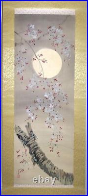 Japanese Painting Hanging Scroll Cherry Blossoms under Moon Asian Antique qr7