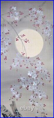 Japanese Painting Hanging Scroll Cherry Blossoms under Moon Asian Antique qr7