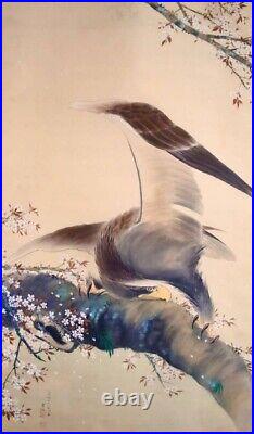 Japanese Painting Hanging Scroll Hawk and Cherry Blossom Asian Antique 3k