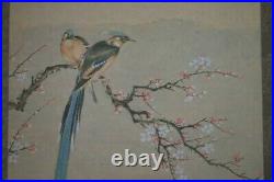 Japanese Painting Hanging Scroll Magpie Birds and Flower Asian Antique wv