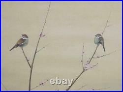 Japanese Painting Hanging Scroll Pink Plum and Sparrow Bird Asian Antique hvv