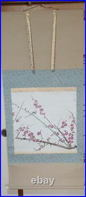 Japanese Painting Hanging Scroll Plum Blossoms and Bird withBox Asian Antique w5