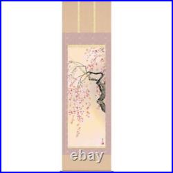 Japanese Painting Hanging Scroll Sakura in Full Bloom Cherry Blossoms