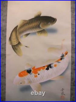 Japanese Painting Hanging Scroll Swimming Carps and Pine Asian Antique 4fy