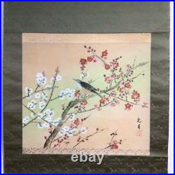 Japanese Painting Hanging Scroll Warbler Bird, Red-White Plum Asian Antique y8