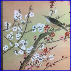 Japanese Painting Hanging Scroll Warbler Bird, Red-White Plum Asian Antique y8