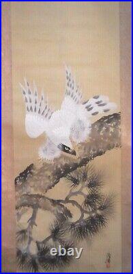 Japanese Painting Hanging Scroll White Hawk on Pine Tree Asian Antique ynb