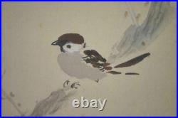 Japanese Painting Hanging Scroll White Plum and Sparrow Bird Asian Antique we6