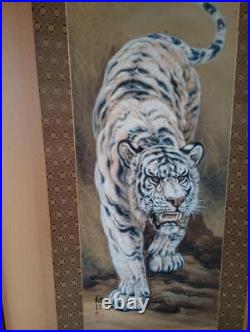 Japanese Painting Hanging Scroll White Wild Tiger withBox Asian Antique 5e