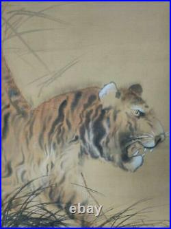 Japanese Painting Hanging Scroll Wild Tiger Under The Moon Asian Antique p4y