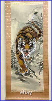 Japanese Painting Hanging Scroll Wild Tiger withBox Asian Antique juz