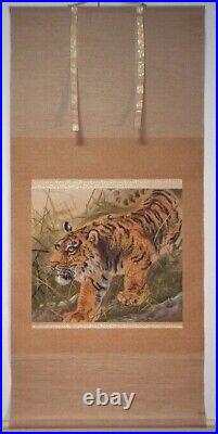 Japanese Painting Hanging Scroll Wild Tiger withBox Asian Antique m26