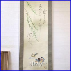 Japanese Painting Hanging Scroll Willow and Ducks withBox Asian Antique x7