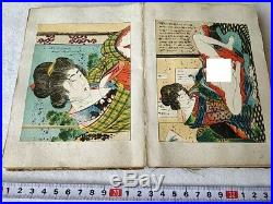 Japanese Shunga Paper picture on Book UKIYOE Erotic woodblock print-b925
