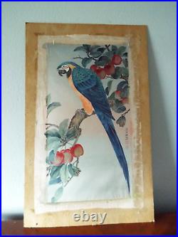 Japanese Vintage Hand Painting on Silk, Parrot on Plum Brench, Extremly Detailed