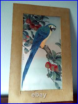 Japanese Vintage Hand Painting on Silk, Parrot on Plum Brench, Extremly Detailed