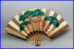 Japanese hand painted Fan in original box GG65