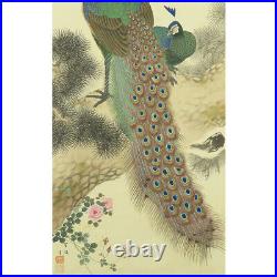 Japanese hanging scroll, Japanese painting Peacock drawing Suiha Shibata Antique