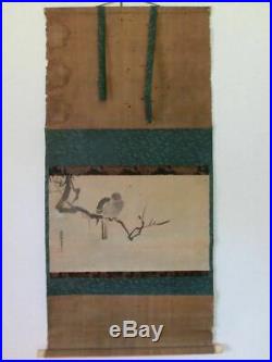 KAKEJIKU HANGING SCROLL JAPANESE Dove Painting by Yasunobu Kano #799