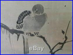 KAKEJIKU HANGING SCROLL JAPANESE Dove Painting by Yasunobu Kano #799