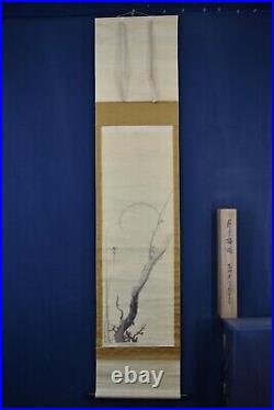 KAKEJIKU hanging scroll Antique, Terasaki Hiroye / Plum Blossom under the Moon
