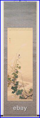 Kakejiku Japanese Hanging Scroll Autumn Grass & Small Bird Shosen Kondo Japan