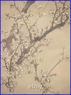 Kakejiku Japanese Hanging Scroll Koryu Kawakami Old Plum Blossom Vintage