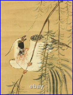 Kano Motonobu Japanese hanging scroll / Long-tailed Bird & Willow W851