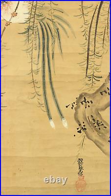 Kano Motonobu Japanese hanging scroll / Long-tailed Bird & Willow W851