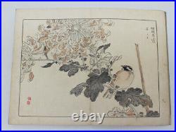 Kono Bairei KIKU HYAKUSHU vol. 1 flowers painting Japanese Woodblock Print Book
