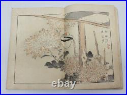 Kono Bairei KIKU HYAKUSHU vol. 1 flowers painting Japanese Woodblock Print Book